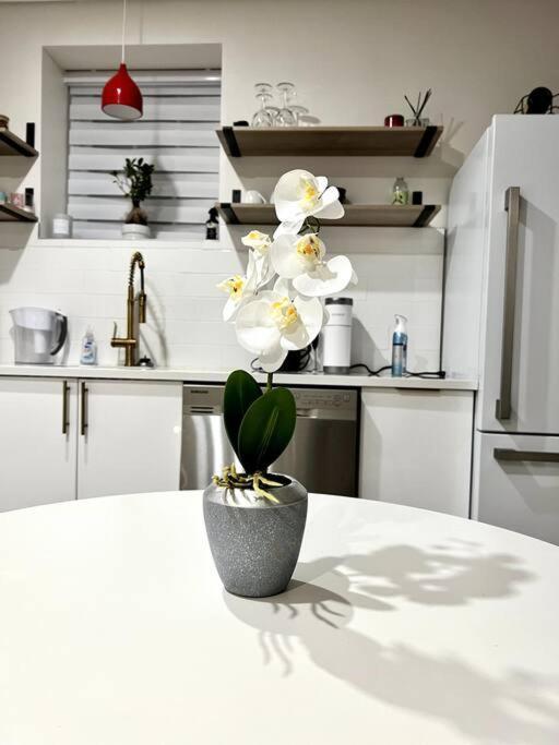 Luxury And Cozy 1 Bed Condo In The Heart Of Providence Exterior foto
